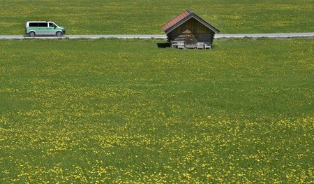 Blühende Landschaft in Garmisch-Partenkirchen - aber streng vor ...
