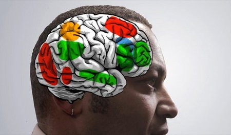 EEG Messung am Bucharest Early Intervention Project