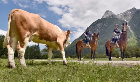 Cowboys: Polizisten der Reiterstaffel der Bundespolizei am 03.06...