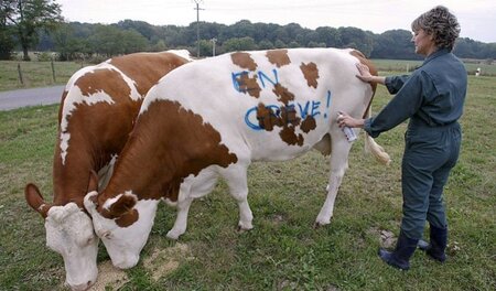 Das wär mal was: Syndikalismus für Nutztiere, wie hier bei den s...