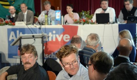 Der Streit in der sächsischen AfD dreht sich nicht zuletzt um di...