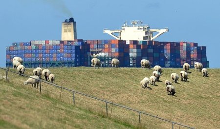 Riesenschiff auf der Elbe bei Brokdorf: Harte Konkurrenz der Gro...