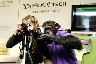 Alles schaut auf Yahoo. Treibt die Angst vor Googles Allmacht Mu...