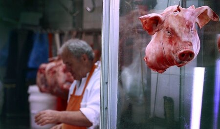 »Du musst auch beim Hackfleisch aufpassen: Wenn du keine 23 Proz...