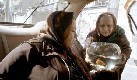 Mit dem Goldfisch durch die Stadt. Eine Szene des Films »Taxi Te... Mit dem Goldfisch durch die Stadt. Eine Szene des Films »Taxi Te...
