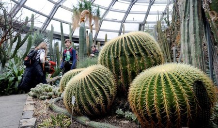 Der Botanische Garten hat einige Sehenswürdigkeiten zu bieten, s...