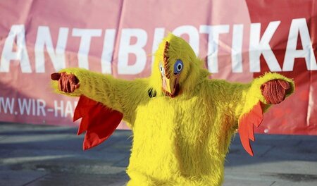 Der vermeldete Rückgang von Antibiotikaeinsatz in der Tiermast v...