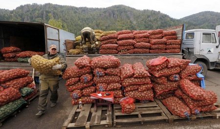 Statt der Blauen Anneliese oder der sizilianischen Nicola sollen...