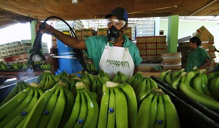Alternative zum Üblichen: Fair gehandelte und ökologisch angebau...