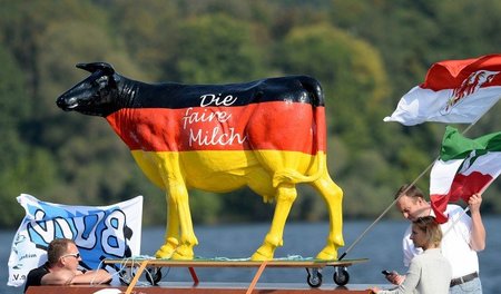 Schon vor einem Jahr protestieren Milchbauern gegen zu niedrigen...