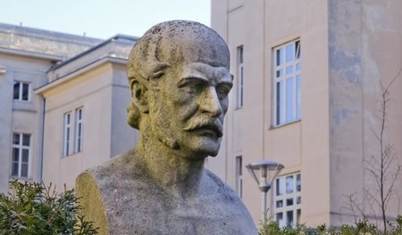 Postume Ehrenrettung: Semmelweis-Büste vor Wiener Frauenklinik Postume Ehrenrettung: Semmelweis-Büste vor Wiener Frauenklinik