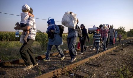 Syrische Flüchtlinge an der serbisch-ungarischen Grenze (27.8.20...