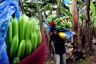 Agrarexporteure wie Costa Rica erwarten kaum Vorteile von Abkomm... Agrarexporteure wie Costa Rica erwarten kaum Vorteile von Abkomm...