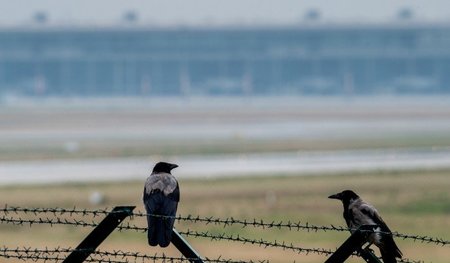 Sollte der Flughafen gar nicht fertig werden, erobert eben die N...