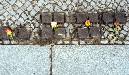 Blumen neben Stolpersteinen in Berlin-Friedenau, die am Osterwoc...