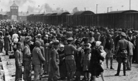 Der Haupteinwand gegen die »Dimitroffsche« Faschismusdefinition:...