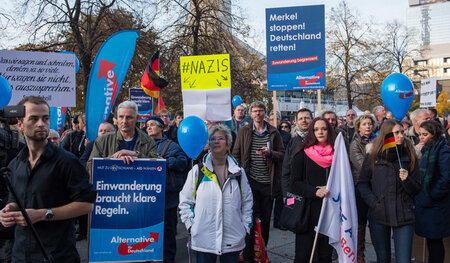 Berlin, 31. Oktober. AfD-Anhänger nutzen zweifelhafte Ironie, um...