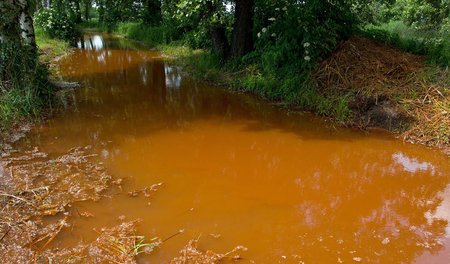Eisenhaltige Brühe aus Tagebaugrundwasser: Die Spree bleibt bis ... Eisenhaltige Brühe aus Tagebaugrundwasser: Die Spree bleibt bis ...