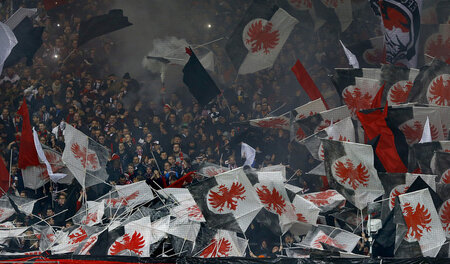 Schwierigkeiten beim Abheben: Die Frankurter Adler und ihre Fans Schwierigkeiten beim Abheben: Die Frankurter Adler und ihre Fans