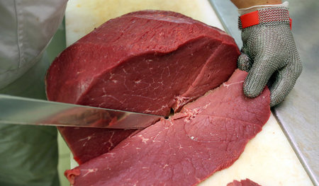 Bio-Rindfleisch aus Born (Mecklenburg-Vorpommern): Für Ökobetrie...