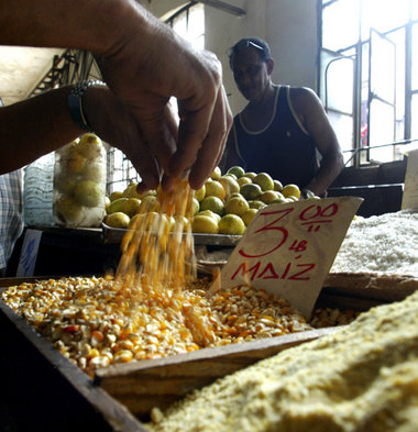 Reges Geschäft – Gemüsemarkt in Havanna Reges Geschäft – Gemüsemarkt in Havanna