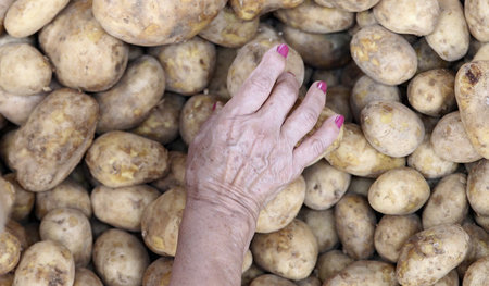 Rin in die Kartoffeln, der Hering ist schon gewässert!