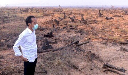 Indonesiens Bodenschätze im Blickfeld multinationaler Konzerne. ...