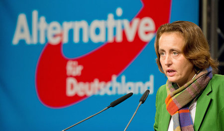 Nach Deutschland soll nach dem Willen von Beatrix von Storch (Af...