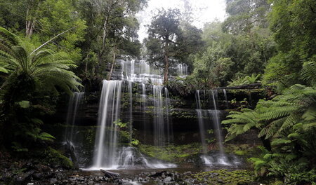 Gefährdetes Weltnaturerbe: »Russell Falls« im Mount Field Nation...