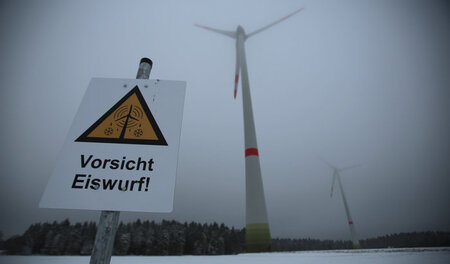 Windräder sind nicht ganz ungefährlich. Der »Spezies« droht inde... Windräder sind nicht ganz ungefährlich. Der »Spezies« droht inde...
