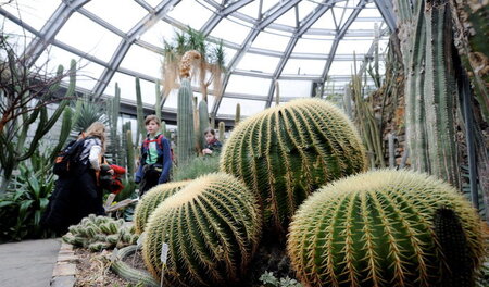 Jeden Tag arbeiten die Beschäftigten im Botanischen Garten daran... Jeden Tag arbeiten die Beschäftigten im Botanischen Garten daran...