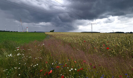 Dunkle Regenwolken über dem Landkeis Oder-Spree. In »Unterleuten...