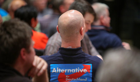 Die »Alternative«, die keine ist, zieht verkrachte Existenzen an... Die »Alternative«, die keine ist, zieht verkrachte Existenzen an...