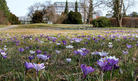 Menschen, die die Idylle des Botanischen Gartens erhalten, bekom...