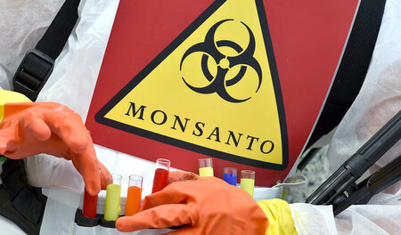 Protest gegen Agrokonzern Monsanto und dessen Produkte im April ...