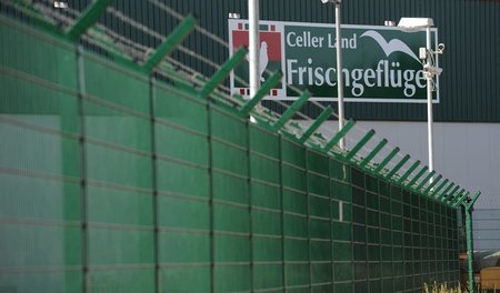 Geflügelschlachthöfe wie dieser im niedersächsischen Wietze töte...