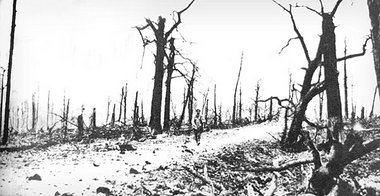 Verwüstete Straße südlich von Douaumont, Frühjahr 1916 Verwüstete Straße südlich von Douaumont, Frühjahr 1916