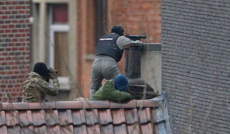 Unerwarteter Stich ins Wespennest: Belgische Polizei auf Antiter...