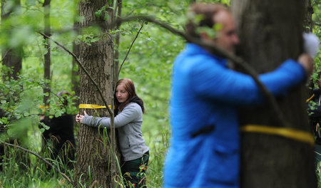 Mein Freund, der Baum: Rund 1,2 Milliarden Menschen sind heute g...