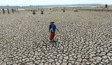 Ein thailändischer Bauer am vergangenen Mittwoch auf seinem ausg...