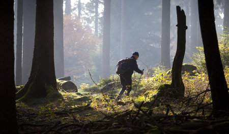 Wanderer, kennst du die »gallertartige Nahrungshülle« zu deinen ...