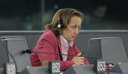 Beatrix von Storch (hier am 1. Februar auf einer Parlamentssitzu... Beatrix von Storch (hier am 1. Februar auf einer Parlamentssitzu...
