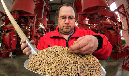 Bild aus besseren Zeiten: Qualitätsprüfung bei German Pellets in...
