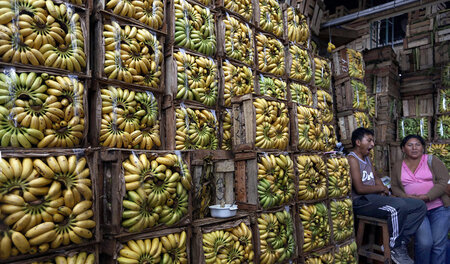 Markt in Lima: In vielen Ländern dienen die Früchte hauptsächlic... Markt in Lima: In vielen Ländern dienen die Früchte hauptsächlic...