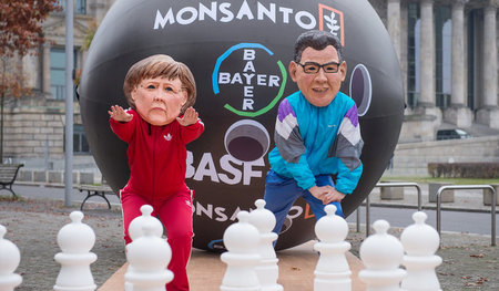 Bayer wie auch Monsanto sind Profiteure sogenannter Entwicklungs...