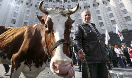 Unzufrieden: Ukrainische Bauern demonstrieren vor Regierungsgebä...