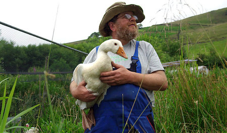 Erlösung in Gänsefüßchen (aus dem Film) Erlösung in Gänsefüßchen (aus dem Film)