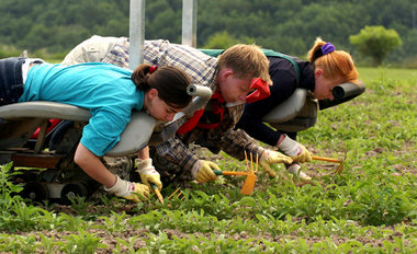 Schuften im Akkord: Die Arbeit in der deutschen Landwirtschaft i...