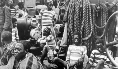 Wie Vieh in die Vereinigten Staaten transportiert: Afrikaner auf...
