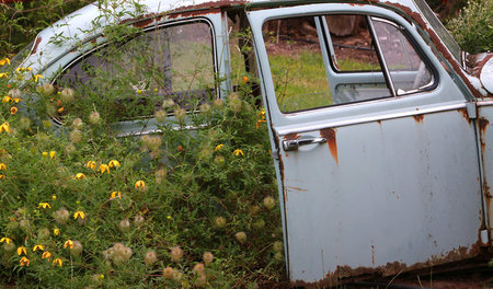 Rust never sleeps; Rost schläft nicht nur nicht, Rost arbeitet, ...